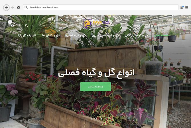 طراحی صفحه اول سایت فروشگاه گل و گیاه پایا گل