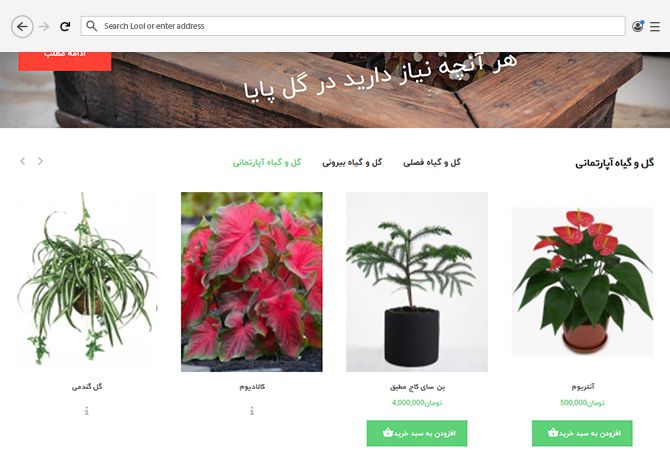 نمونه کار طراحی سایت فروشگاهی گل و گیاه